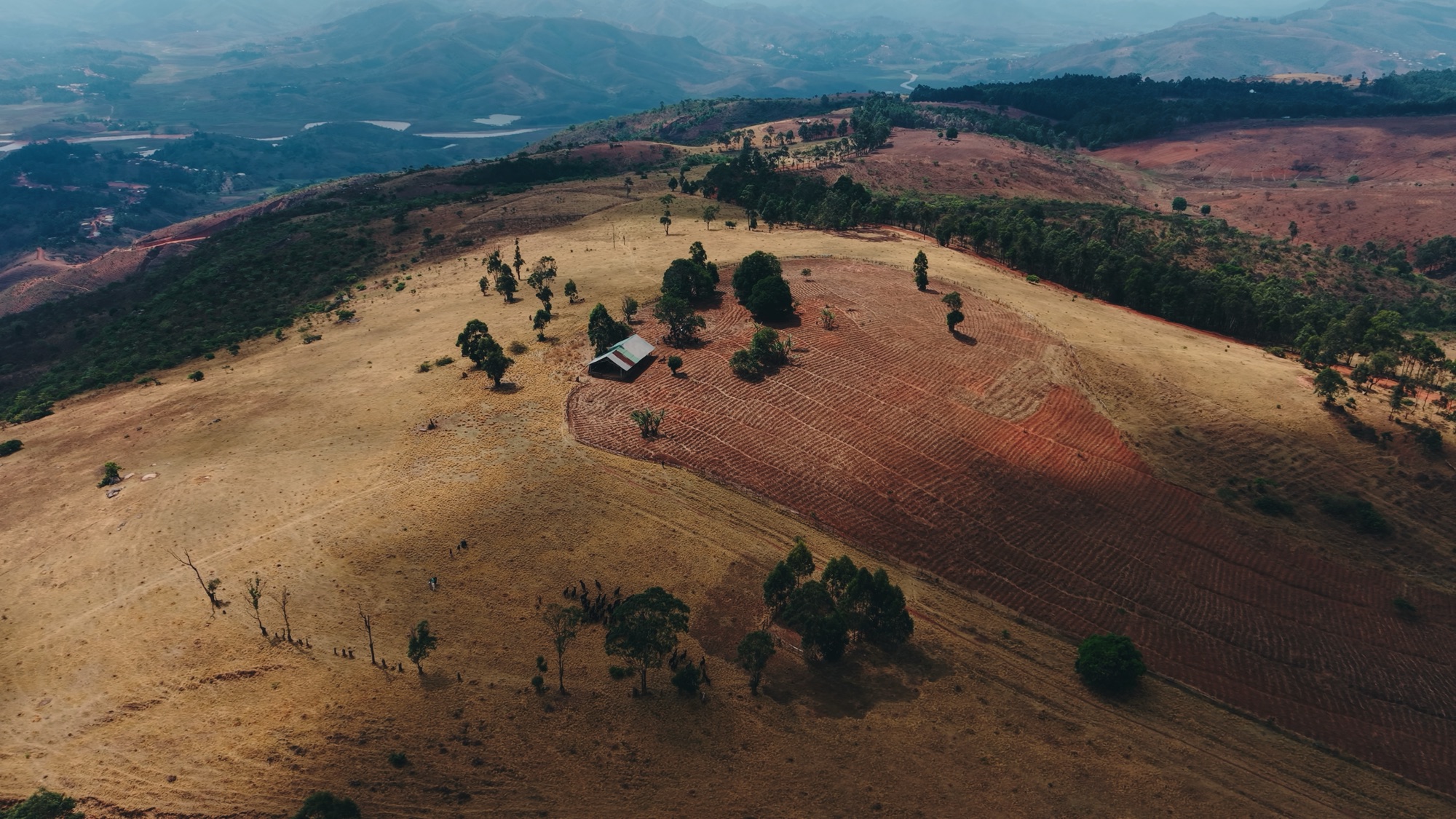 Aerial view of the rolling hills of Mambilla, a single farmstead on a ridge above terraced red earth and distant blue mountains